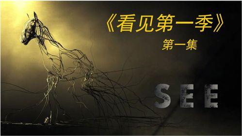 看见 第一季,探寻真实，触摸人性