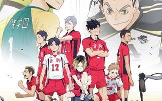 排球少年：陆 VS 空,陆 VS 空——巅峰对决，谁将问鼎荣耀巅峰？