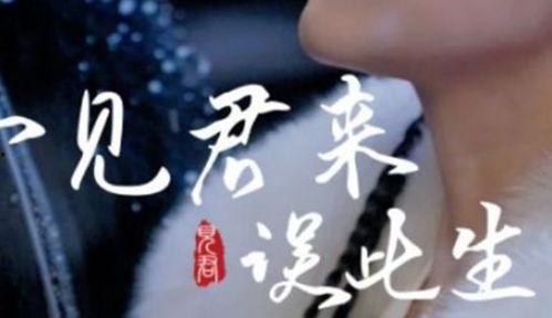 一见君来误此生,君来情缘