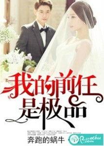 我的极品前任,爱恨交织的情感纠葛