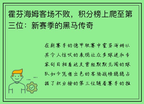 霍芬海姆客场不败，积分榜上爬至第三位：新赛季的黑马传奇