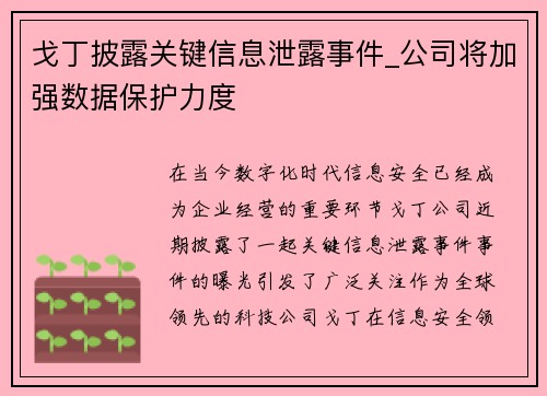 戈丁披露关键信息泄露事件_公司将加强数据保护力度
