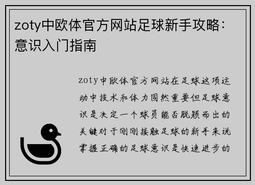 zoty中欧体官方网站足球新手攻略：意识入门指南